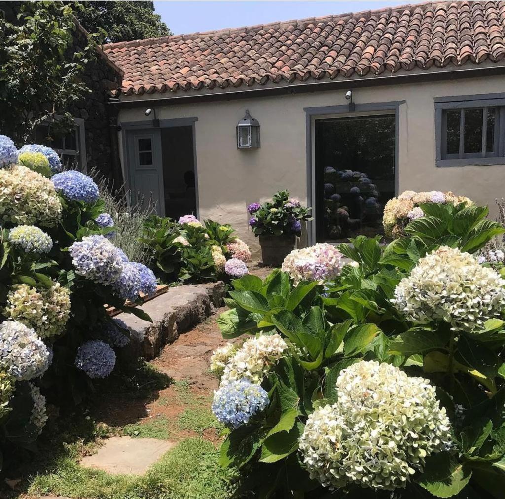 San Pedro  Casas La Principal旅馆 外观 照片